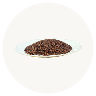 Ragi